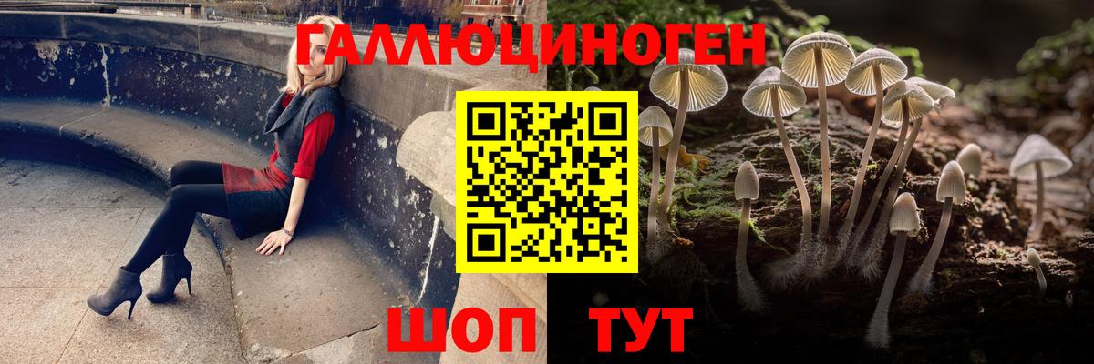 Саянск  Псилоцибиновые грибы Psilocybine cubensis  Вход с VPN 