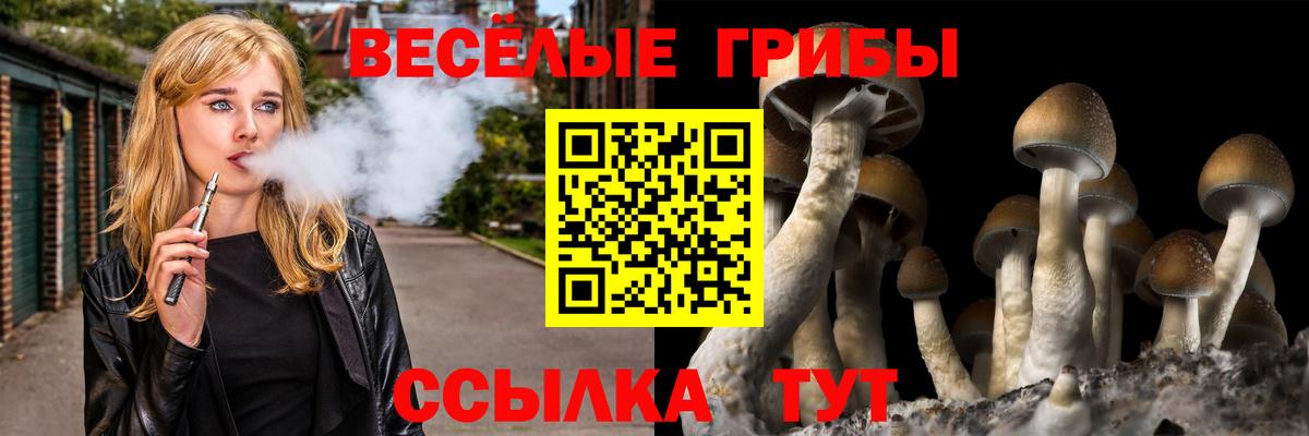Псилоцибиновые грибы прущие грибы Саянск